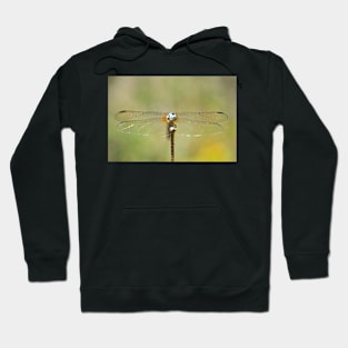 Dragonfly Hoodie